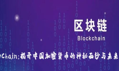 OnlyChain：揭开中国加密货币的神秘面纱与未来前景