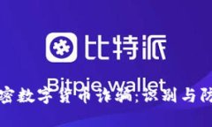 上海加密数字货币诈骗：