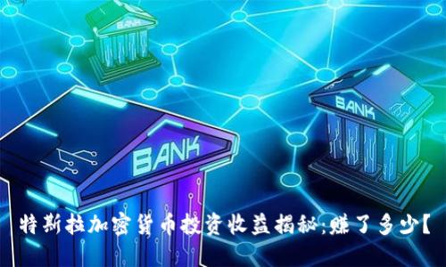 特斯拉加密货币投资收益揭秘：赚了多少？