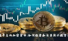 优质没有平台的加密货币