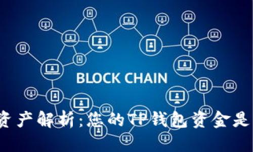 思考

TP钱包资产解析：您的TP钱包资金是美元吗？