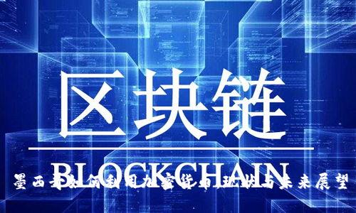 墨西哥如何利用加密货币：现状与未来展望