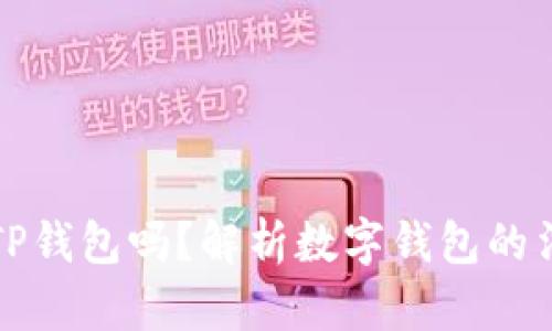 公安可以冻结TP钱包吗？解析数字钱包的法律风险与措施
