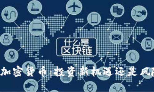 内测版加密货币：投资新机遇还是风险陷阱？