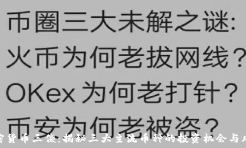   
加密货币三傻：揭秘三大主流币种的投资机会与风险