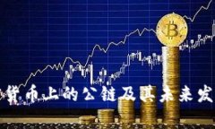 什么是加密货币上的公链