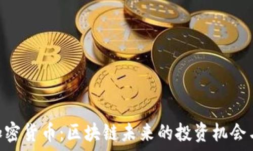   
UMI加密货币：区块链未来的投资机会与挑战
