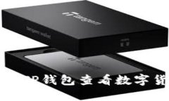 如何使用TP钱包查看数字货