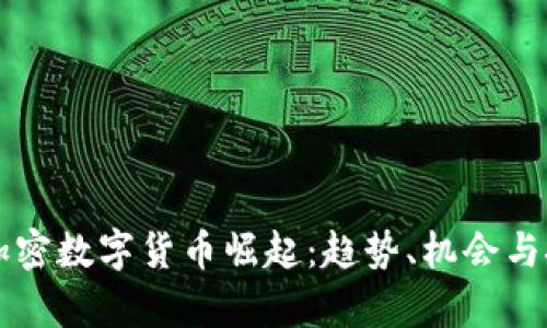 新一轮加密数字货币崛起：趋势、机会与挑战解析