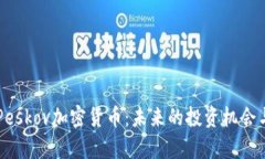 深入解析Peskov加密货币：