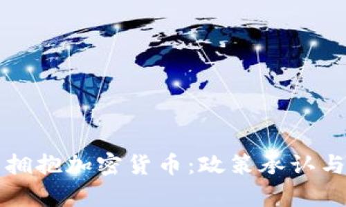 南非全力拥抱加密货币：政策承认与市场前景