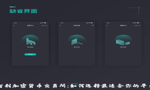   
智利加密货币交易所：如何选择最适合你的平台