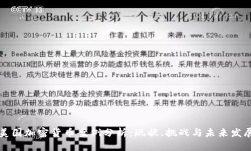 美国加密货币案例分析：现状、挑战与未来发展