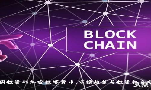 韩国投资的加密数字货币：市场趋势与投资机会分析