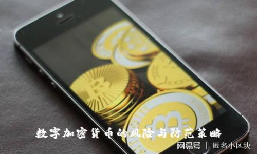 数字加密货币的风险与防范策略