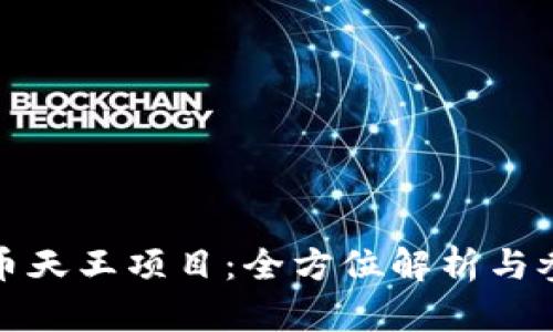 加密货币天王项目：全方位解析与参与指南
