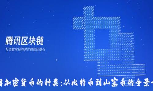   
了解加密货币的种类：从比特币到山寨币的全景介绍
