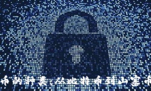   
了解加密货币的种类：从比特币到山寨币的全景介绍