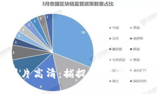 加密货币聚会图片高清：捕捉数字货币世界的精彩瞬间