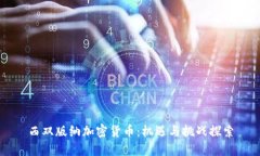 西双版纳加密货币：机遇与挑战探索