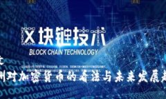 论文非洲对加密货币的看法与未来发展趋势