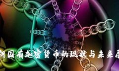 伊朗国有加密货币的现状