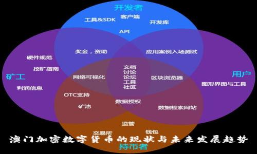 澳门加密数字货币的现状与未来发展趋势
