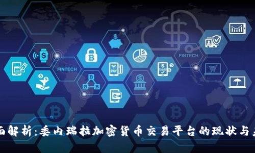 全面解析：委内瑞拉加密货币交易平台的现状与未来